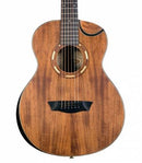 Washburn WCGM55K-D Comfort Series Acoustic Guitar (Natural Satin Finish)