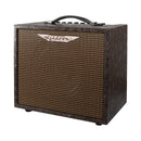 Ashdown Woodsman Pallor Acoustic Guitar Amplificateur