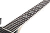Schecter WARHAMMER NT NORSE DRAGON BULLSEYE Wylde Audio Electric Guitar (Metallic Green)