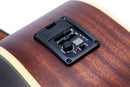 Wylde Audio GRAND AUDITORIUM Acoustic Guitar (Ash Burst Satin)