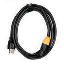 American DJ SIP1MPC10 TRUE1 To Edison Cable - 10ft