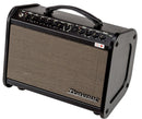 Traynor AMMINI Ampli acoustique 65 watts