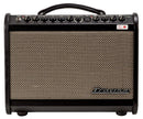 Traynor AMMINI Ampli acoustique 65 watts