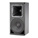 JBL AM5215/66 2-Way Loudspeaker With 60° x 60° Horn (Black) - 15in
