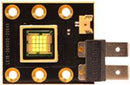 American DJ Z-5020100226 LED Module for Focus Spot 4Z