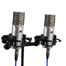 Aston Microphones SPIRIT STEREO PAIR Multi-Pattern Condenser Microphone