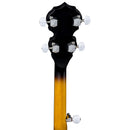 Banjo celtique Bluegrass Luna CELTIC à 5 cordes - Tobacco Burst