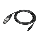 Câble XLRF 4 broches Audio-Technica BPCB5 pour BPHS2 - 3 m