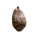 Rockustics COCONUTZ Two-Way Outdoor Coconutz Speaker - 5.25"