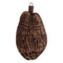 Rockustics COCONUTZ Two-Way Outdoor Coconutz Speaker - 5.25"