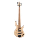 Cort B5-ELEMENT-OPN 5 String Electric Bass Guitar (Open Pores Natural)
