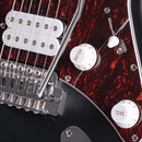 Cort G110-OPBK G-Series Electric Guitar (Open Pore Black)