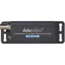 Datavideo VP-737 Composite Video Signal Repeater Set (656ft Over Cat5e)