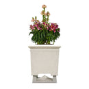 Rockustics SQUAREROOT-6.5-SSPOT-GG Haut-parleur carré extérieur pour plantes (gris granit) - 6,5"