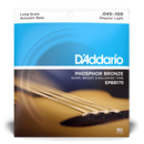 D'Addario EPBB170 Phosphor Bronze Acoustic Long Scale 45-100