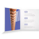 D'Addario XSAPB12554 Strings de guitare acoustique - 6