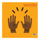 Serato Control Vinyl Emoji Series - Mains (Paire) 