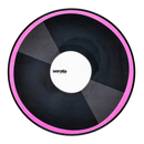 Serato Control Vinyl Emoji Series - Flame/Record (Paire) 