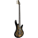 Basse électrique 5 cordes Ibanez GSR205PCTPB (Noir pâle transparent dégradé)