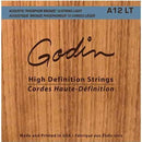 Godin Guitars A12 Acoustic Guitar HD Strings
