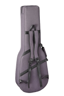 Takamine Thinline Electric Guitar Semi Hard Case