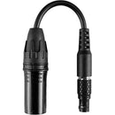 Hollyland LEMO Headset Cable Adapter Cable 8-Pin LEMO To 4-Pin XLR