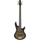 Basse électrique 5 cordes Ibanez GSR205PCTPB (Noir pâle transparent dégradé)