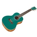 Cordoba 15C Concert Ukulele (Catalonia Green)