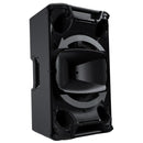 LD Systems ICOA15APRO Powered Coaxial Speaker - 15"