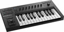 Native Instruments KOMPLETE KONTROL A25 Keyboard Controller