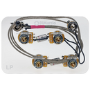 Faisceau de câblage DiMarzio GW2101 pour Les Paul avec interrupteur à bascule