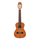 Concert de célébration de Leho LHUC-ASM-CEL