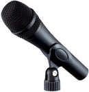 Apex 395 Multi Pattern Condenser Microphone