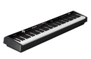 Clavier arrangeur NUX NPK-20 (noir)