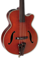 Takamine DB10 Guitare basse électrique acoustique (teinture rouge)