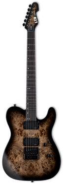 ESP LTD TE-1000 Evertune Electric Guitar (Charcoal Burst)