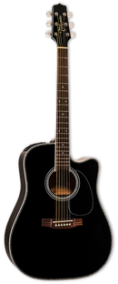Takamine EF341DX Guitare électro-acoustique Dreadnought (Noir)