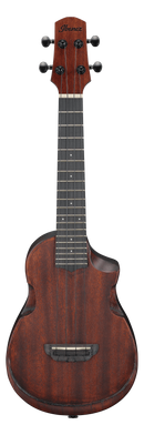 Ibanez AUC14 Concert Ukulele (Natural)