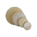 Kit de récupération de basse Staccato RBD3 Vic Firth