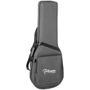 Takamine NEX CALSSICAL ELECTRIC GUITATE SEMI HARD HARD