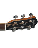 Tagima WS 35 EQ-BK Guitare électrique acoustique (Noir)