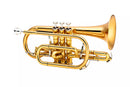 Jupiter JCR1100RQ Intermediate Cornet (Lacquered)