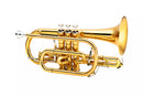 Cornet intermédiaire Jupiter JCR1100Q (laqué)