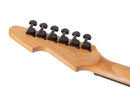 Schecter AVENGER STANDARD Electric Guitar (Blood Burst)
