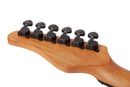 Schecter PT STANDARD Electric Guitar (Purple Burst Burl)