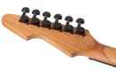 Schecter AVENGER STANDARD Electric Guitar (Charcoal Satin)