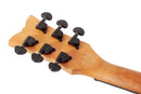 Schecter SOLO-II STANDARD Electric Guitar (Blood Burst)