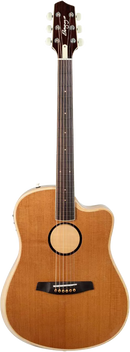 Guitare électro-acoustique LR Baggs AEG-1/TOR, épicéa de Sitka (torréfié)