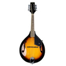 Alabama ALM20 Mandoline de style A (Tobacco Sunburst)