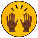 Serato Control Vinyl Emoji Series - Mains (Paire) 